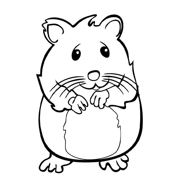 Un hamster espiègle dans son habitat douillet