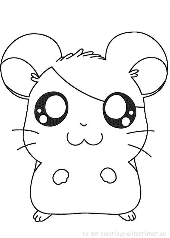 Un hamster curieux explorant son environnement