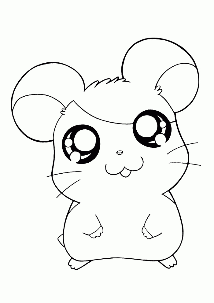Un hamster joyeux explorant son environnement