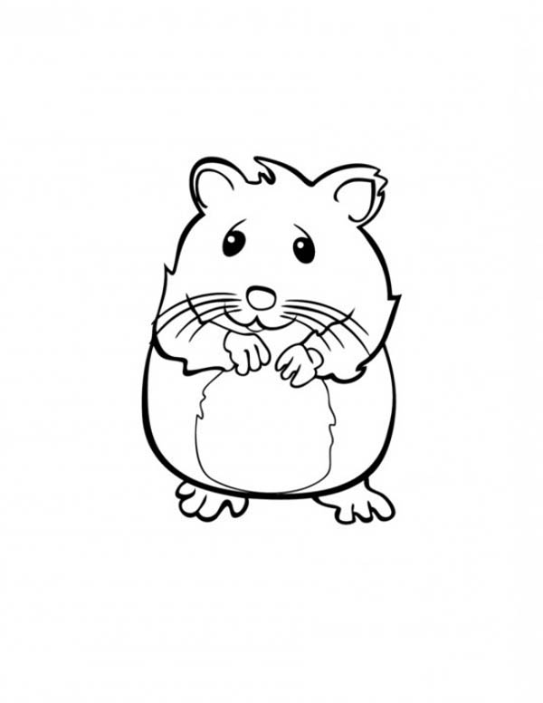 Un hamster joyeux explorant son habitat naturel