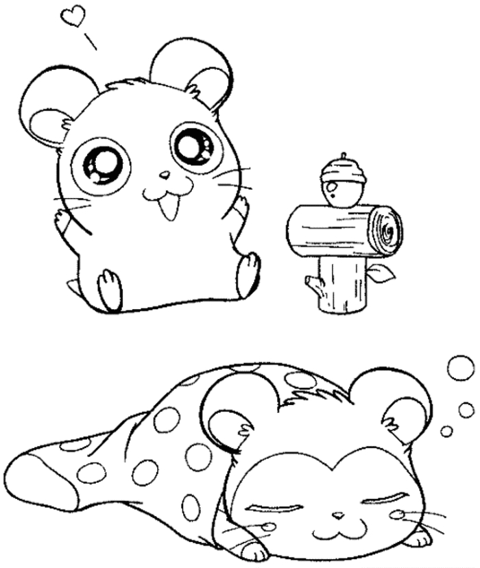 Un hamster curieux dans son habitat naturel Un hamster curieux dans son habitat naturel