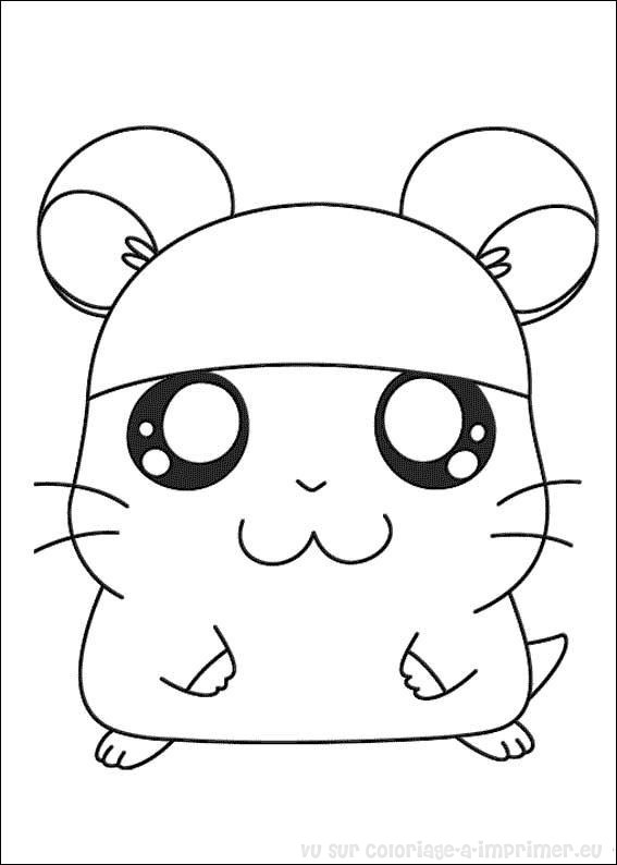 Hamster mignon se reposant dans son habitat confortable