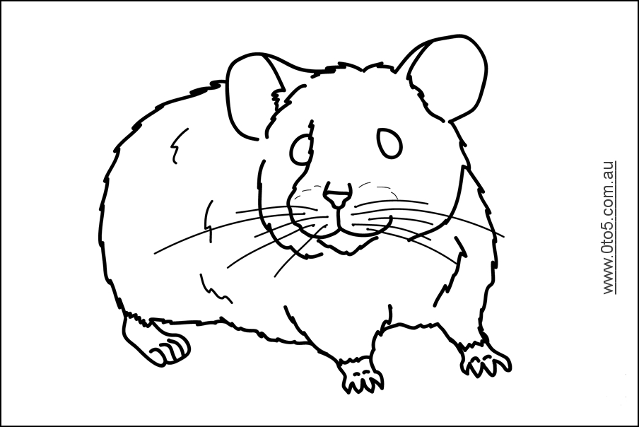 Un hamster joyeux dans son habitat naturel