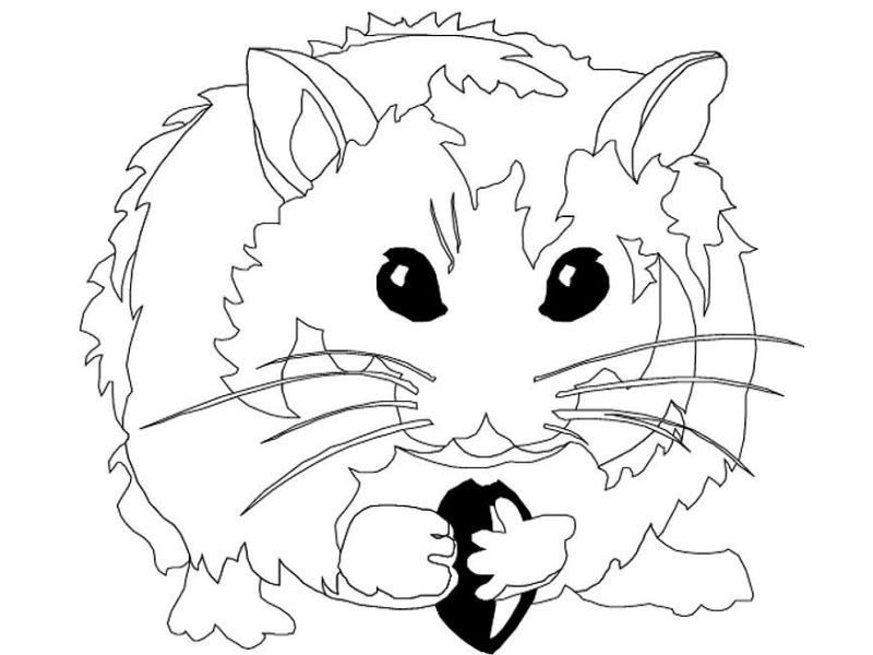Hamster joyeux explorant son environnement naturel