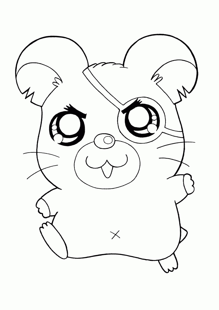 Un hamster joyeux explorant son espace de jeu