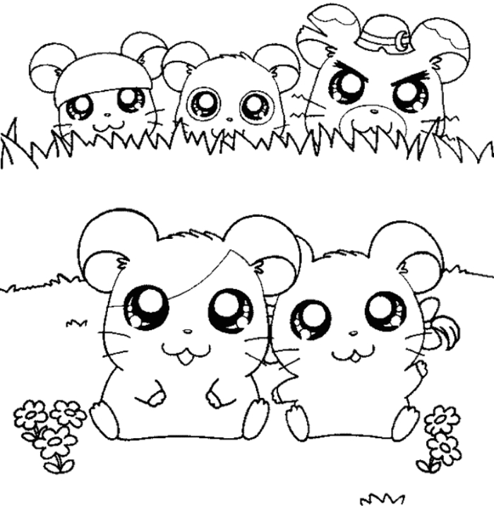 Un adorable hamster en pleine exploration sur un fond simple