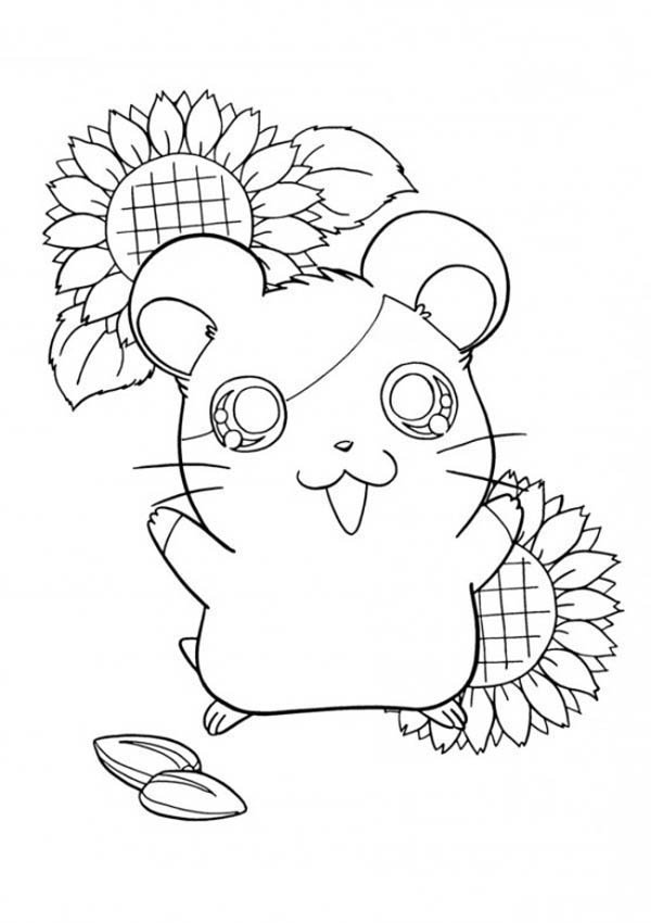 Hamster joyeux explorant son univers dans un enclos