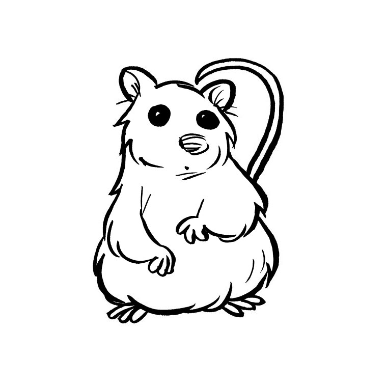 Un hamster amusant jouant sur une petite plateforme