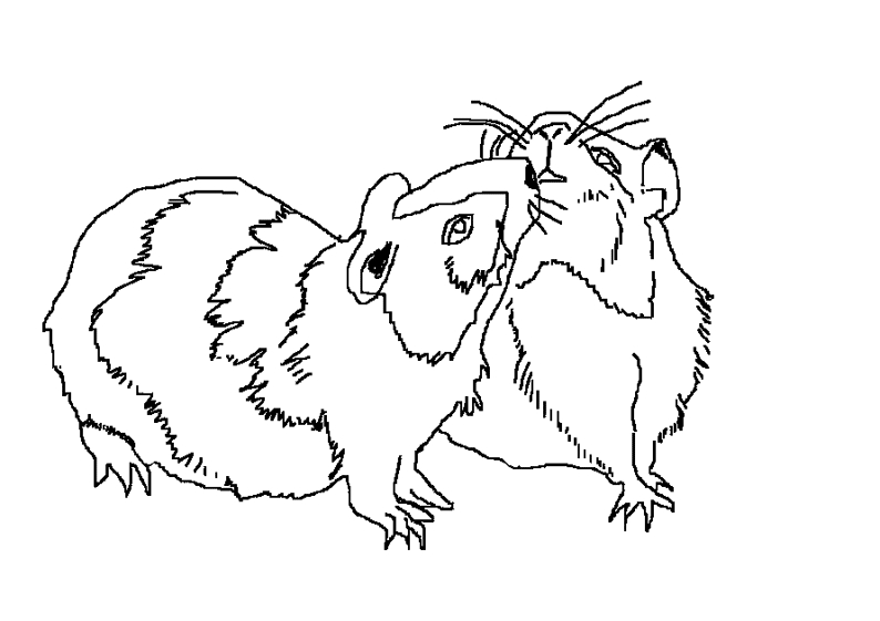 Un hamster curieux explorant son environnement naturel Un hamster curieux explorant son environnement naturel