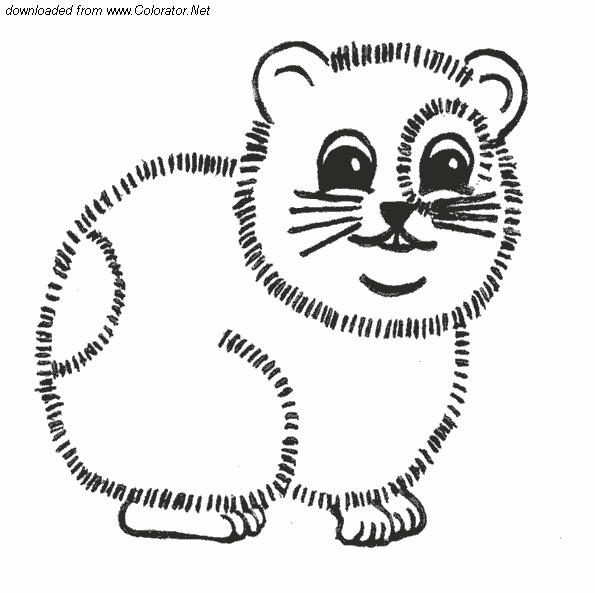 Un hamster curieux explorant son environnement