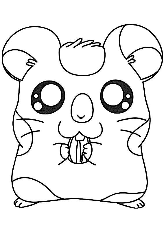Hamtaro et ses amis en pleine exploration dans un jardin