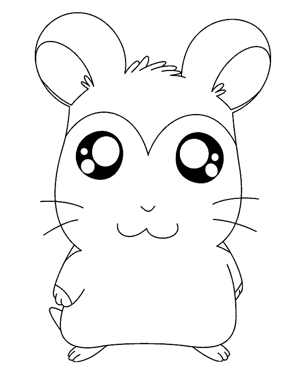 Hamtaro et ses amis en pleine aventure dans un décor naturel