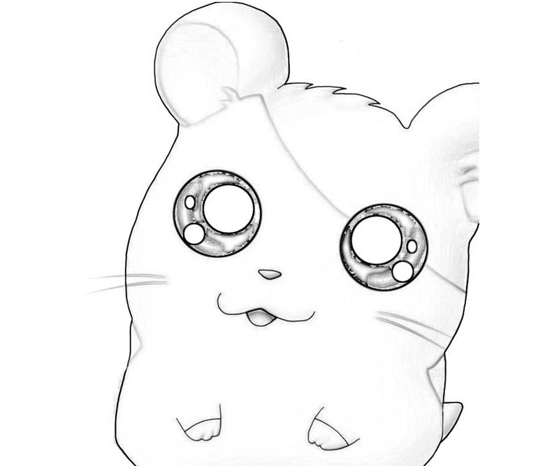 Hamtaro en pleine aventure au milieu de la nature