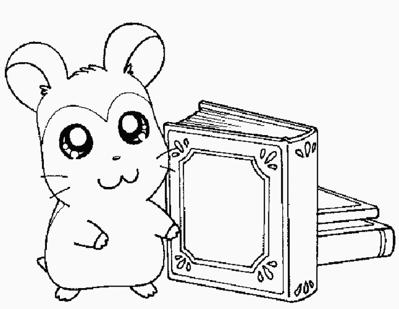 Hamtaro et ses amis en pleine aventure de coloriage