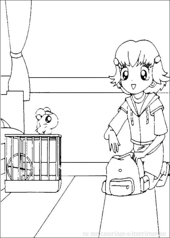 Hamtaro et ses amis explorent un champ de fleurs