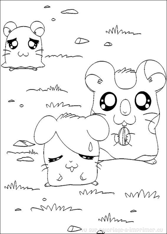 Hamtaro en train de jouer avec une balle dans un décor naturel