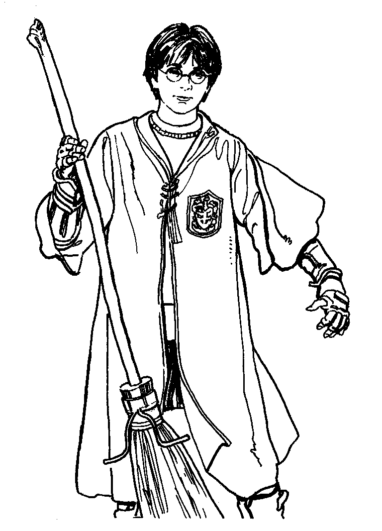 Harry Potter dans la salle commune de Gryffondor avec Hedwige