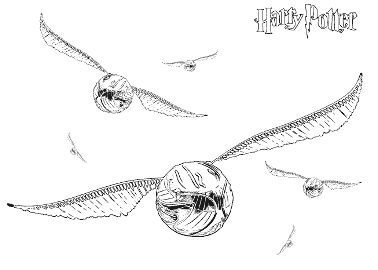 Harry Potter en train de lire dans la bibliothèque de Poudlard