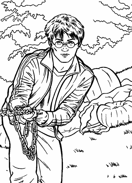 Harry Potter et ses amis dans la salle commune de Gryffondor