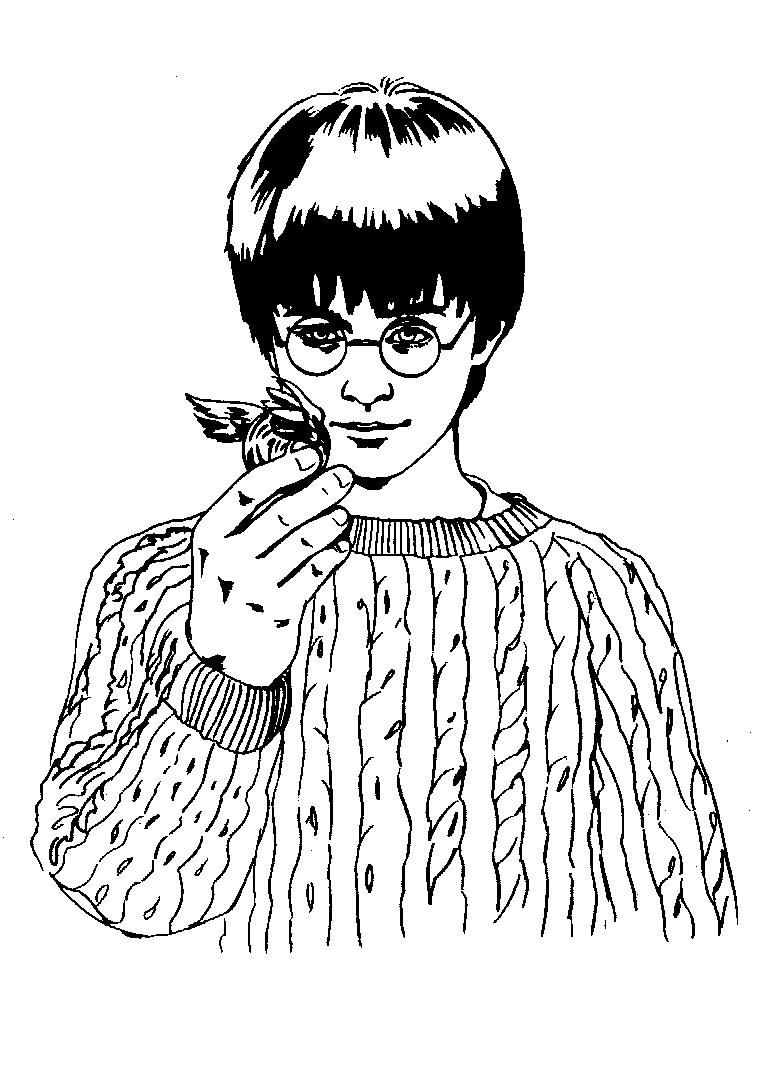 Harry Potter en pleine lecture avec des livres et un hibou