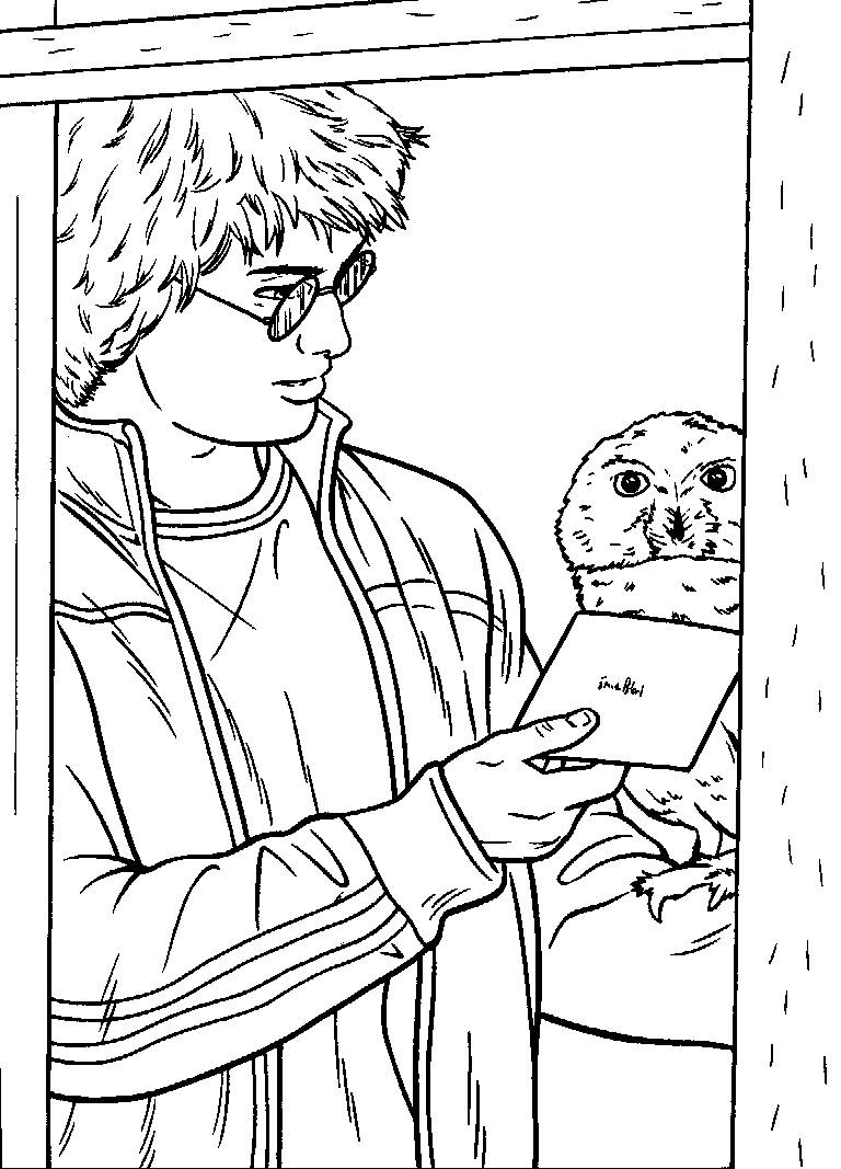 Harry Potter en pleine lecture dans la bibliothèque de Poudlard