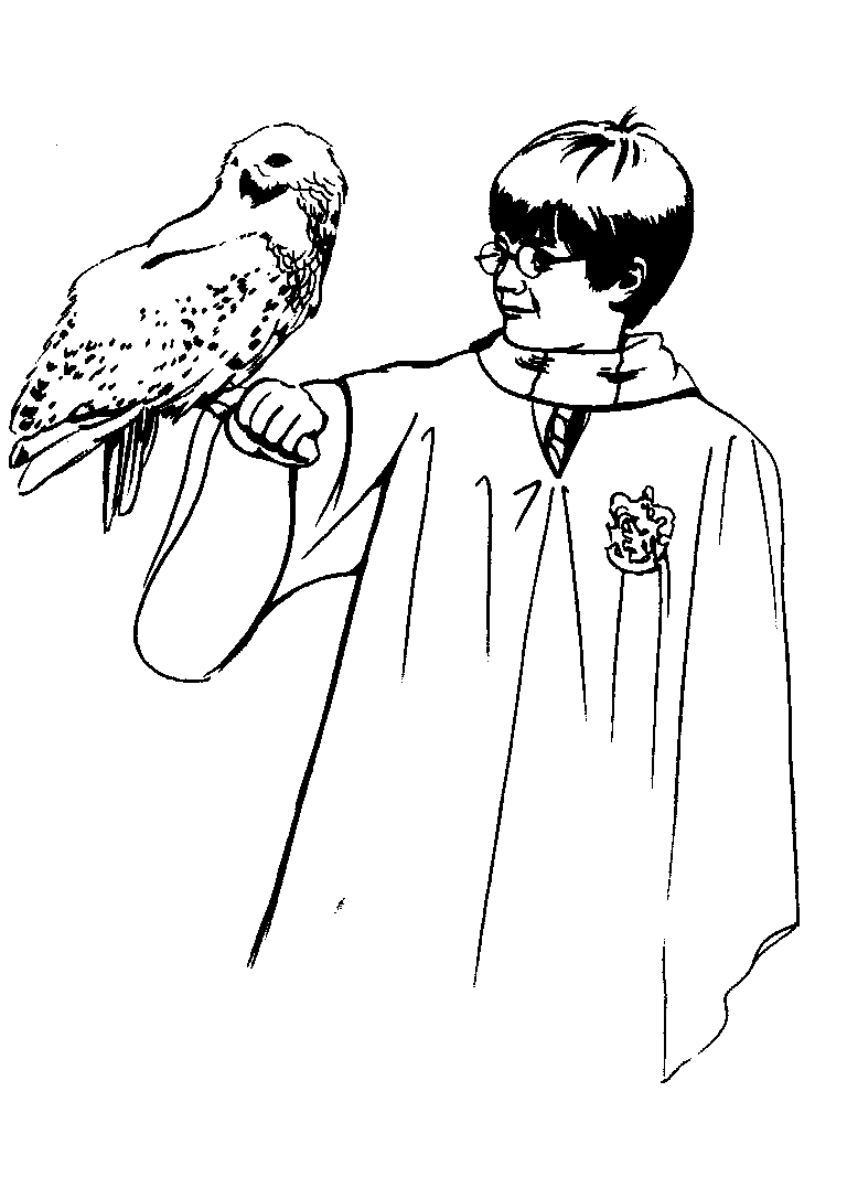 Harry Potter en pleine aventure avec son balai dans un décor mystique