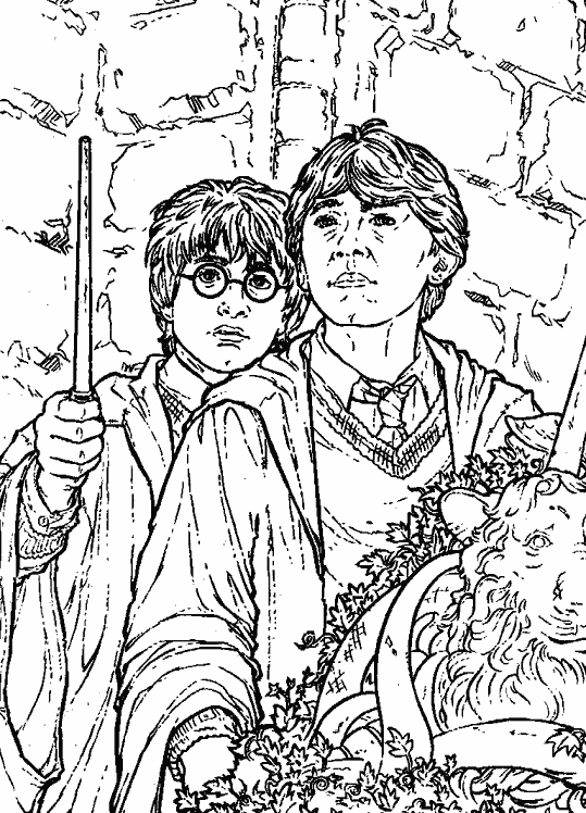 Coloriage de Harry Potter face à un dragon dans un décor mystique