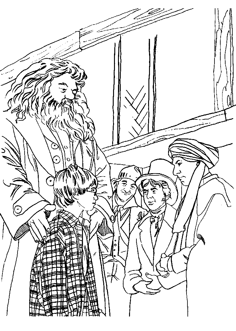 Harry Potter lisant un livre dans la bibliothèque de Poudlard