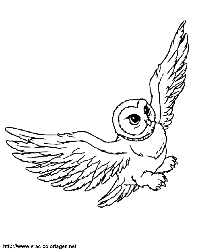 Harry Potter en train de voler sur son balai dans un ciel étoilé