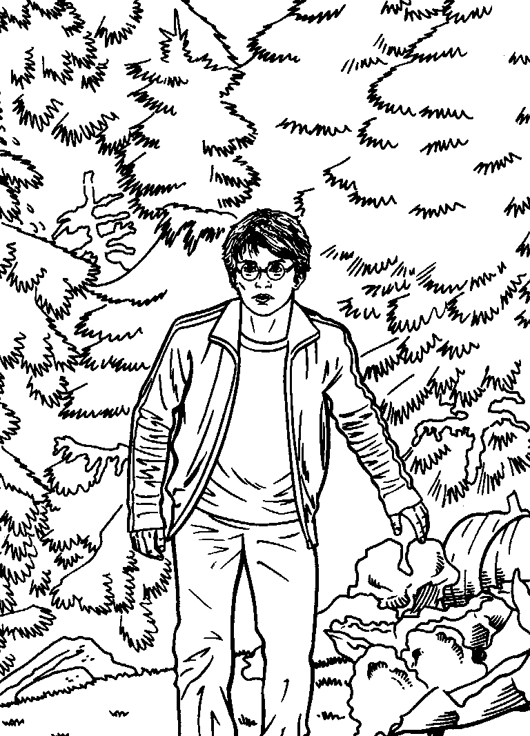 Harry Potter en pleine aventure avec sa baguette magique dans un décor mystique