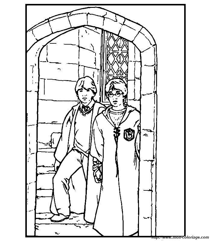 Harry Potter et Hedwig dans un environnement enchanteur