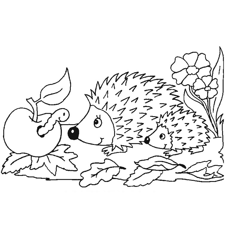 Hérisson mignon explorant la nature dans un coloriage