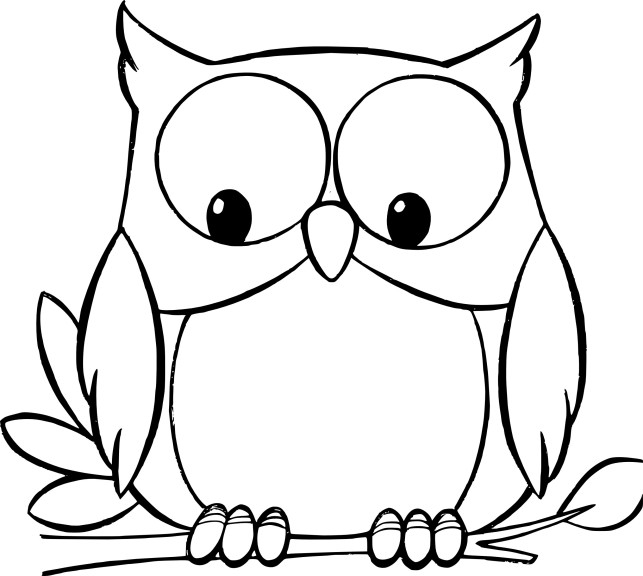 Un hibou posé sur une branche au clair de lune