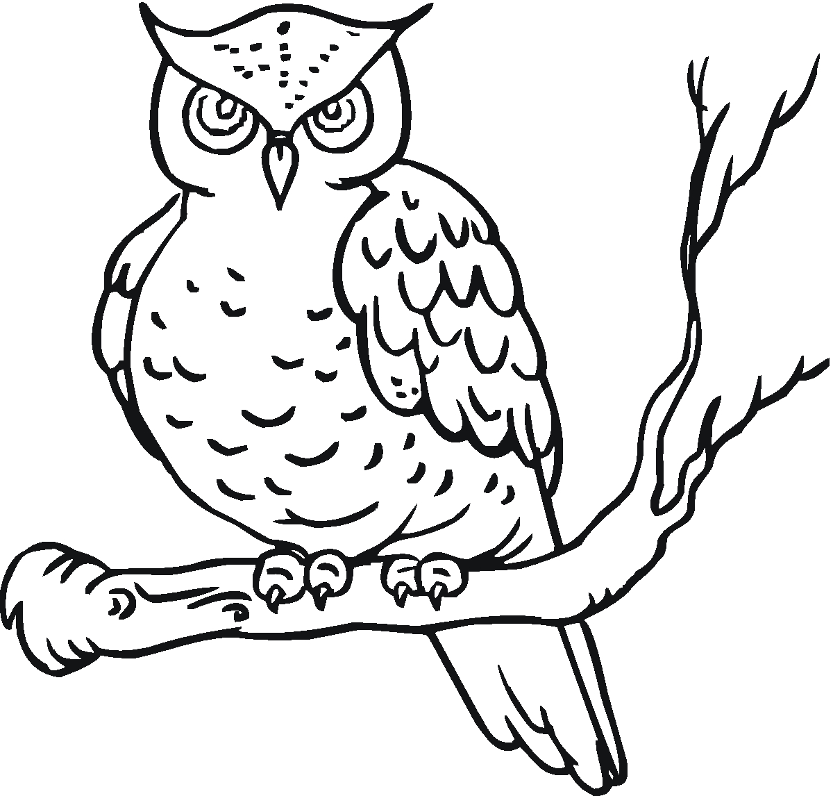 Un hibou posé sur une branche, entouré de feuilles