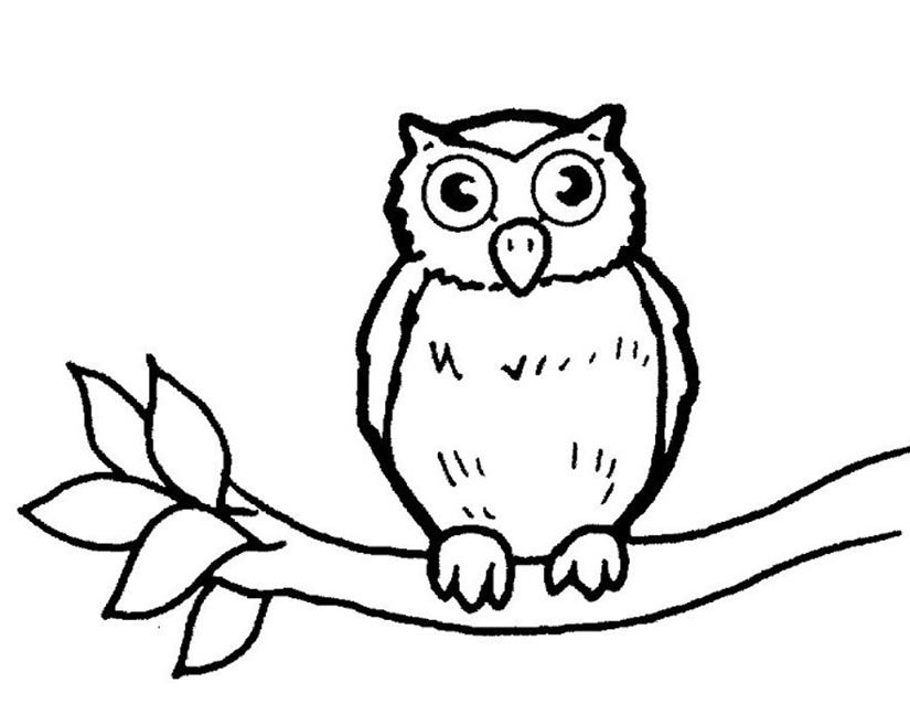 Un hibou perché sur une branche au clair de lune