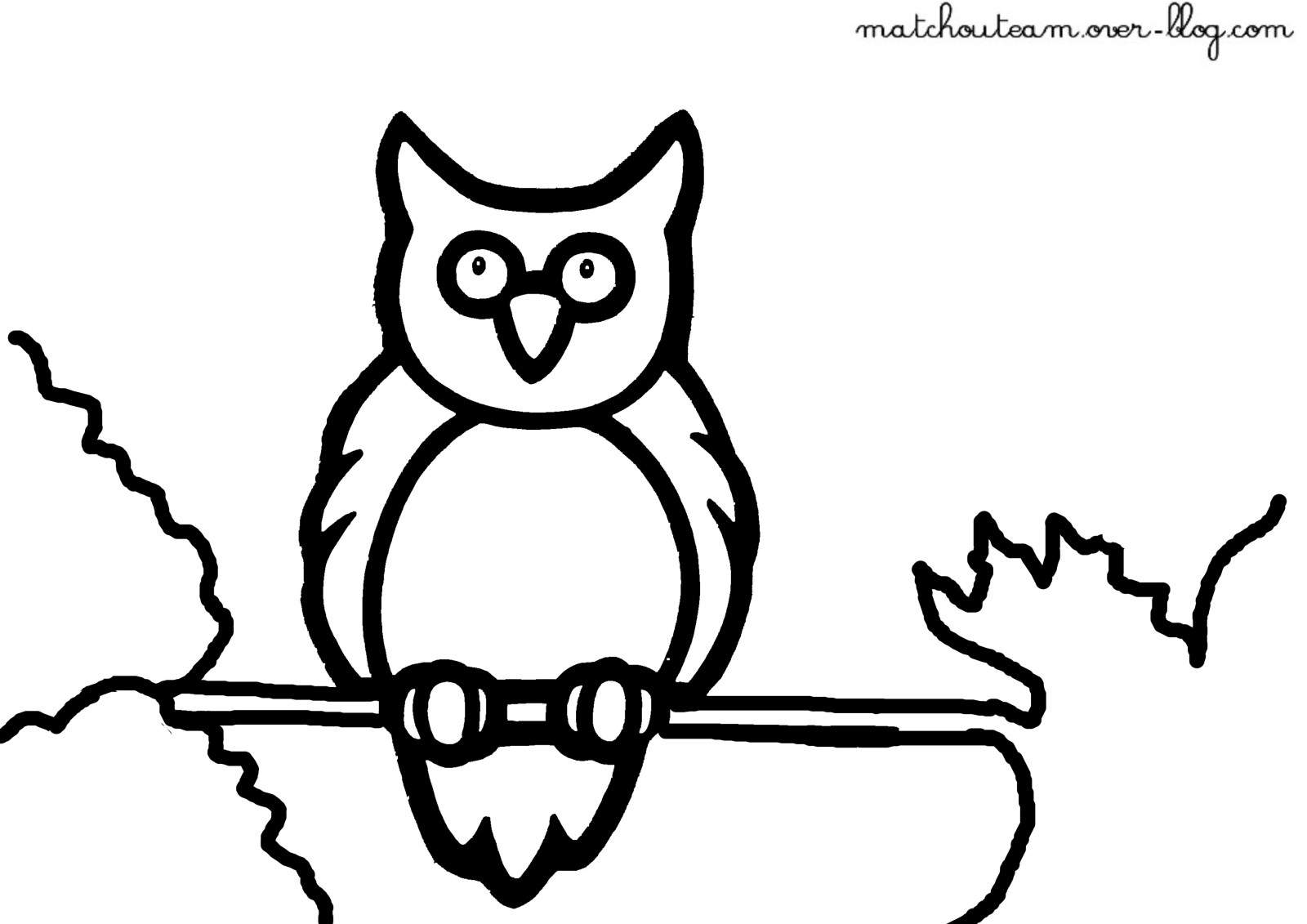 Un hibou perché sur une branche, entouré de feuilles