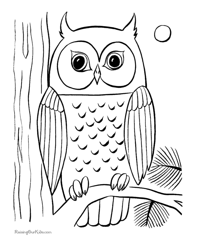 Un hibou perché sur une branche avec un fond de nuit étoilée