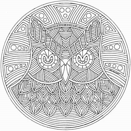 Hibou perché sur une branche avec un arrière-plan naturel