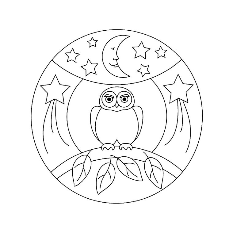 Un hibou perché sur une branche en pleine nuit