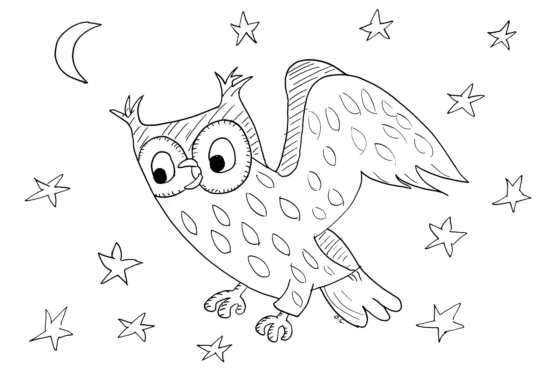 Un hibou perché sur une branche dans la nuit étoilée