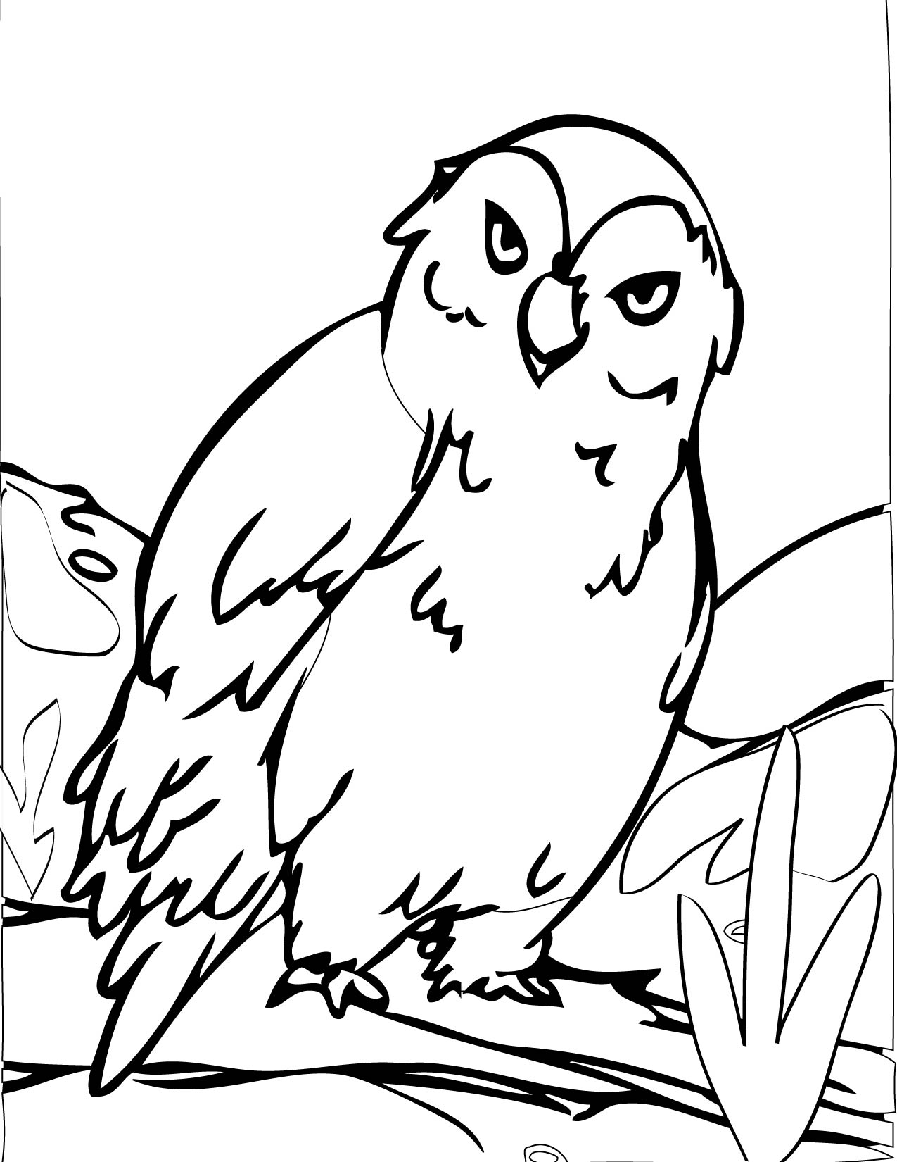 Hibou perché sur une branche avec un fond de nature