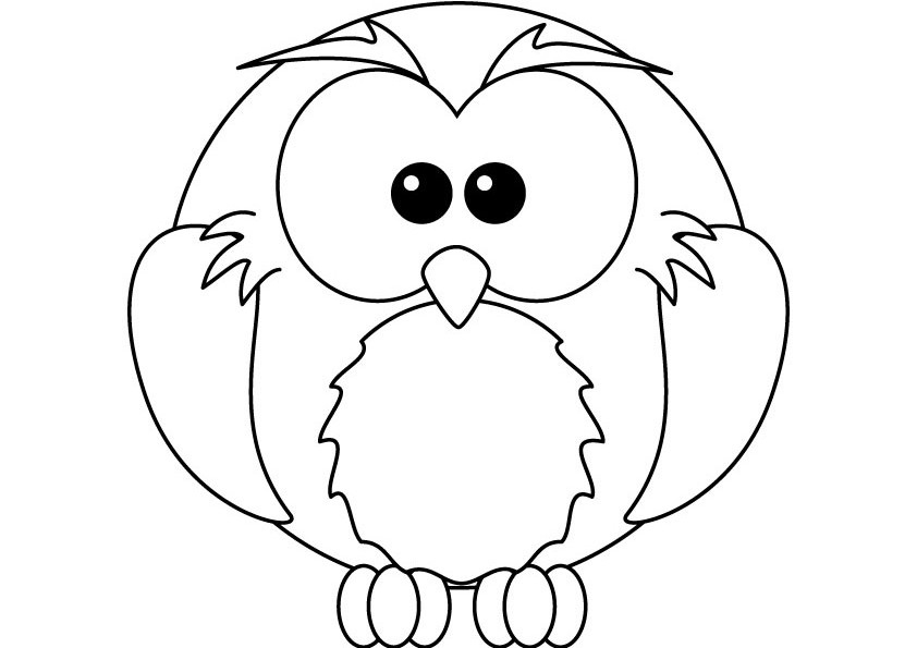 Hibou perché sur une branche avec un arrière-plan naturel