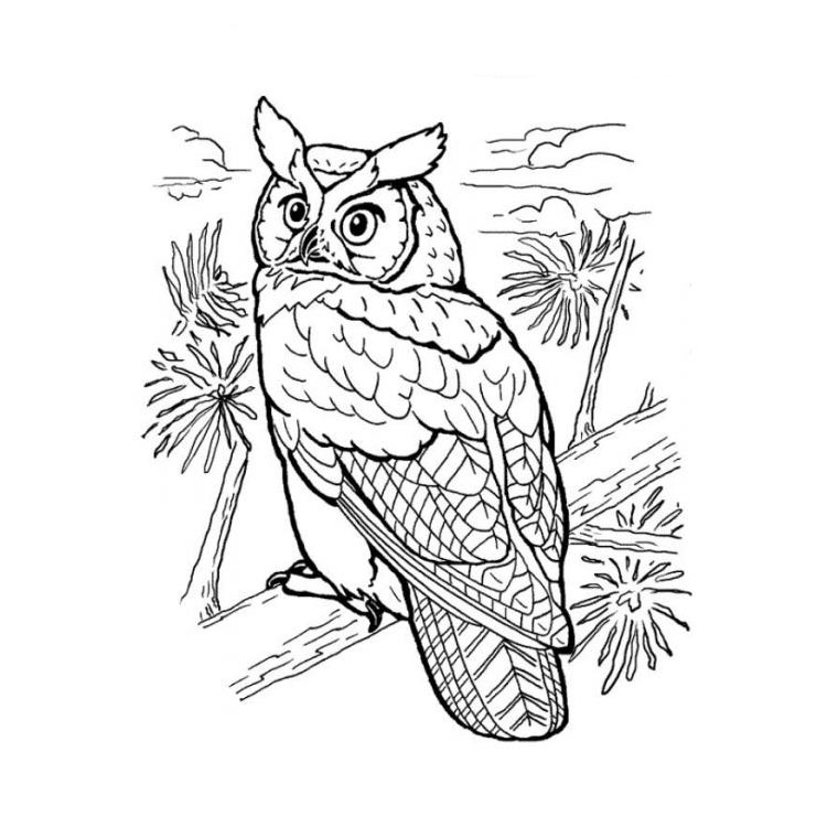 Un hibou élégant perché sur une branche dans la nuit étoilée