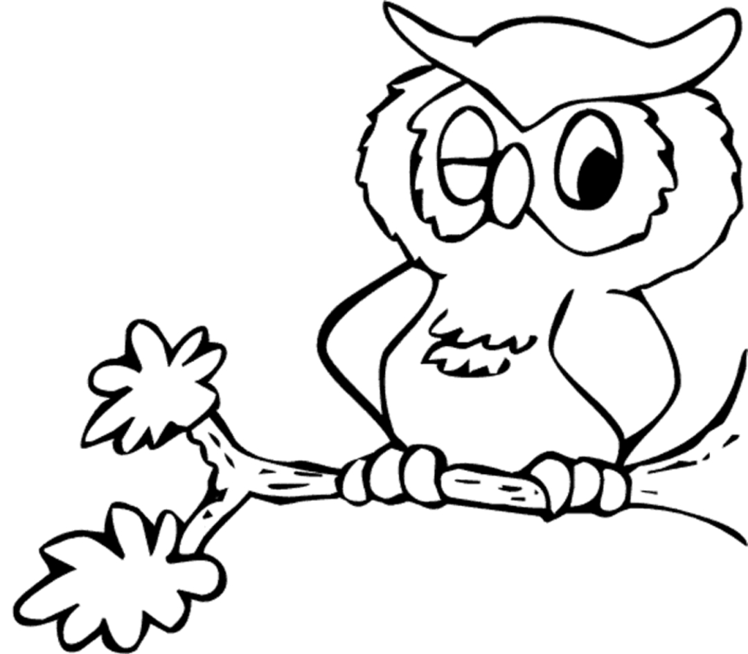 Coloriage d'un hibou perché sur une branche d'arbre