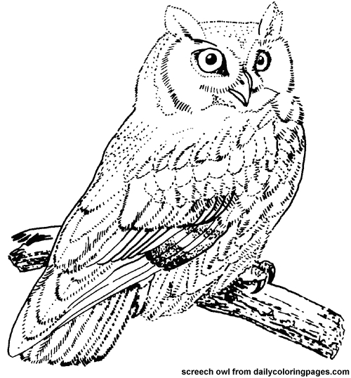 Un hibou perché sur une branche sous un ciel étoilé