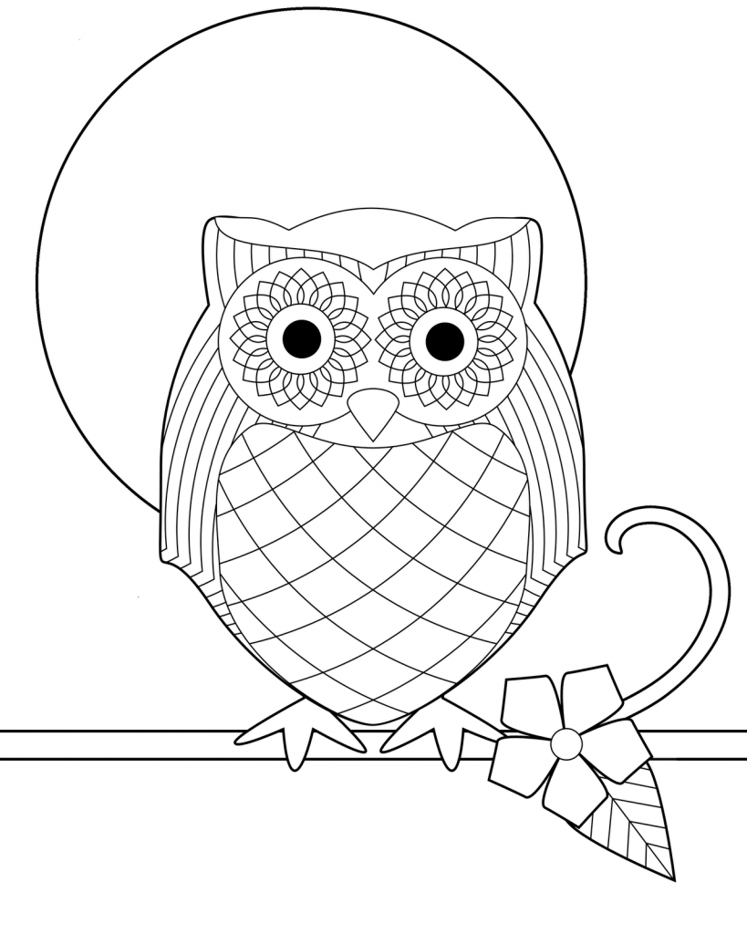 Hibou perché sur une branche contemplant la nuit étoilée