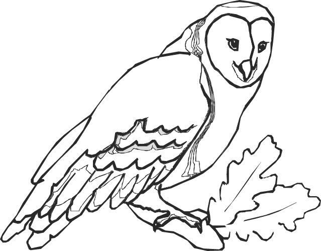 Un hibou perché sur une branche avec un fond naturel Un hibou perché sur une branche avec un fond naturel