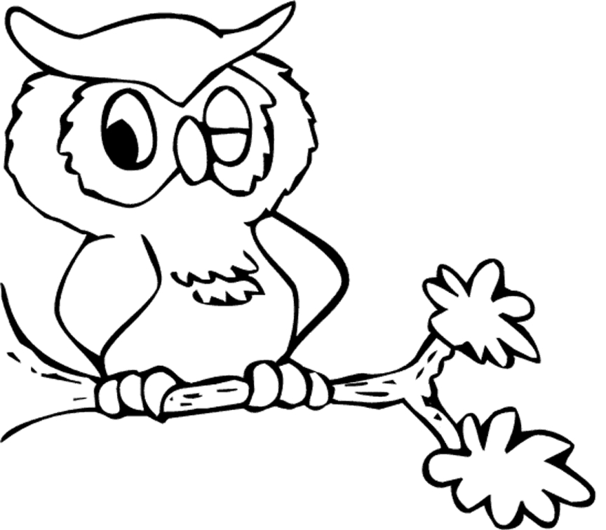 Hibou perché sur une branche dans un environnement naturel