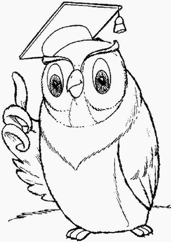 Un hibou perché sur une branche dans la nuit étoilée Un hibou perché sur une branche dans la nuit étoilée