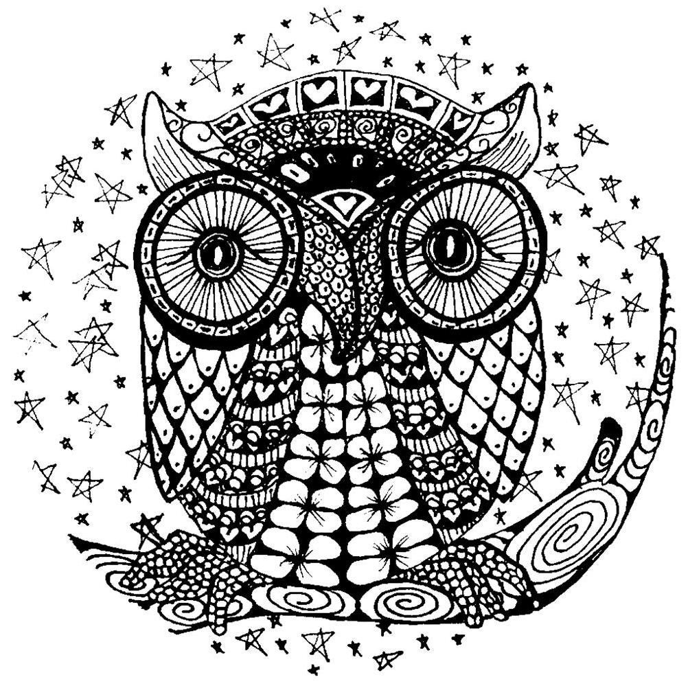 Un hibou perché sur une branche avec un fond de nuit étoilée